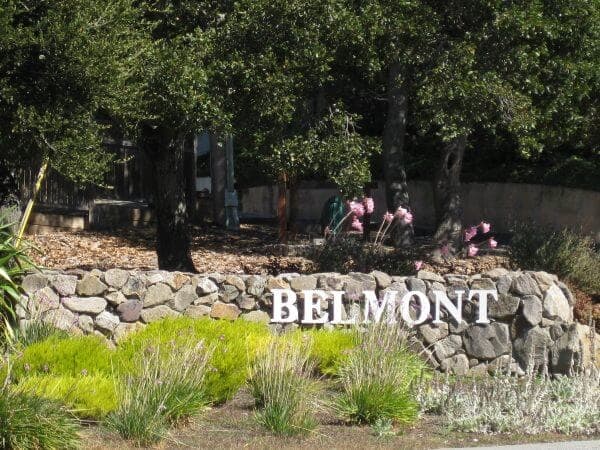 Garage Door Opener Repair Belmont Garage door opener repair Belmont 600x450 - Garage Door Opener Repair Belmont